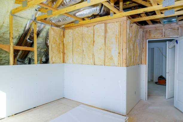 Best Insulation Replacement Services  in Rockwood, MI