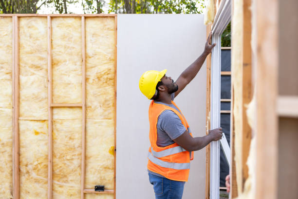 Best Insulation for New Construction  in Rockwood, MI
