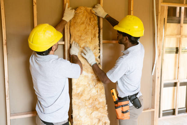 Best Best Insulation Companies  in Rockwood, MI