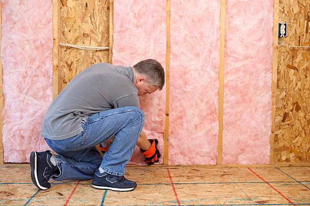 Professional Insulation Contractor in Rockwood, MI