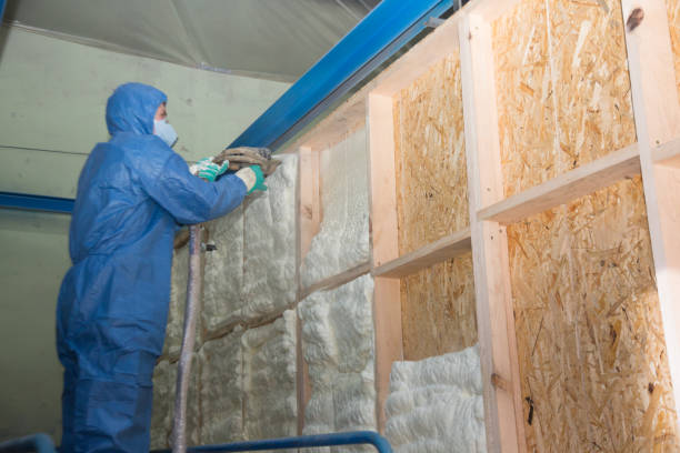 Best Insulation for Commercial Buildings  in Rockwood, MI